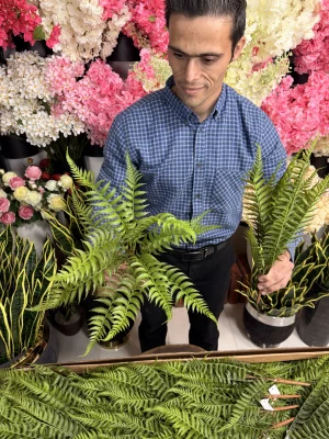 ساقه حالت‌پذیر سرخس مصنوعی