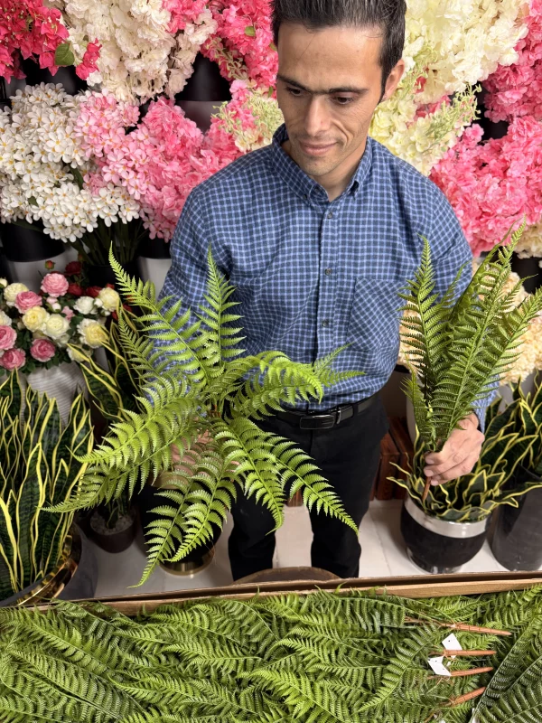 ساقه حالت‌پذیر سرخس مصنوعی