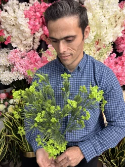 ابعاد و اندازه بوته باکسی پلاستیکی