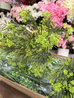 برگ‌های بوته باکسی لمسی