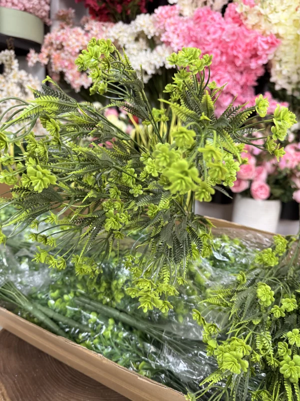 برگ‌های بوته باکسی لمسی
