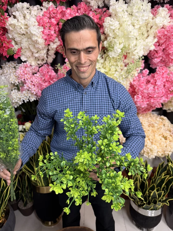 شمشاد ژاپنی مصنوعی