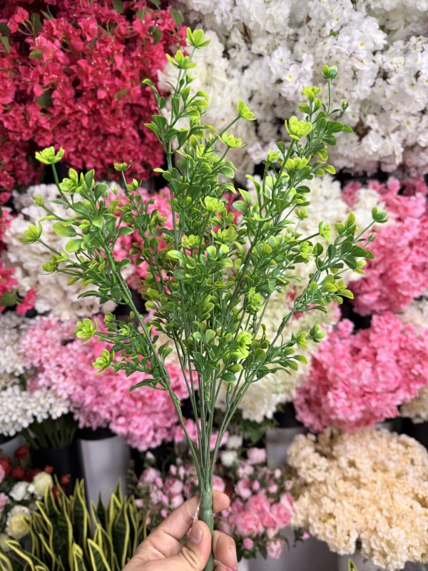 برگ‌های بوته باکسی لمسی