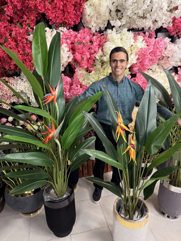 خرید درختچه پرنده بهشتی مصنوعی | قیمت عالی + ارسال فوری