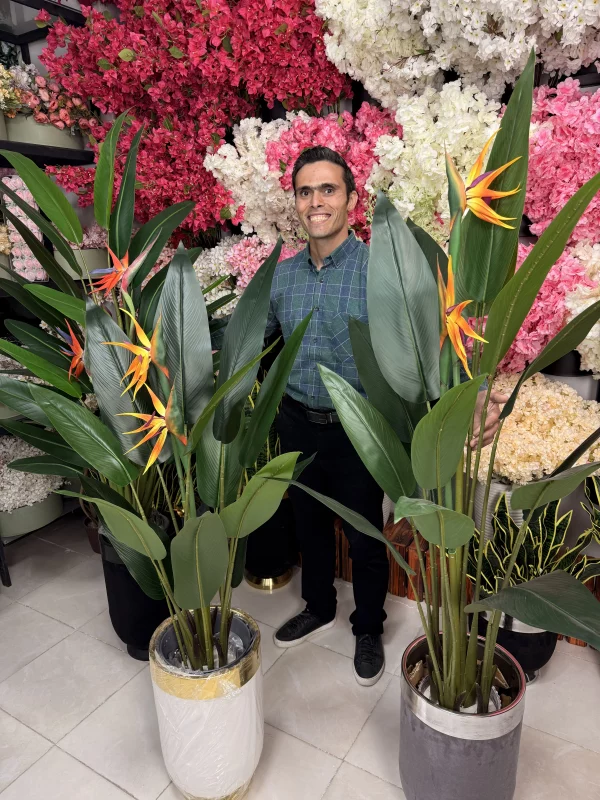 درختچه پرنده بهشتی مصنوعی لوکس در گلدان طوسی در دکوراسیون داخلی مدرن و روشن.