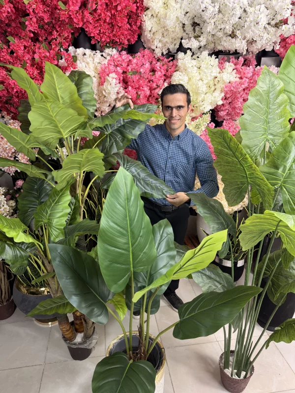 خرید درختچه بابا آدم مصنوعی لوکس؛ شکوه استوایی در فضای شما