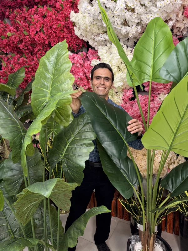 راهنمای خرید تخصصی درختچه بابا آدم مصنوعی