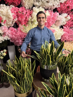 ایده‌های دکوراسیون با گل های مصنوعی سانسوریا