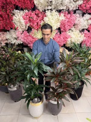 ایده‌های دکوراسیون با درختچه مصنوعی دراسینا