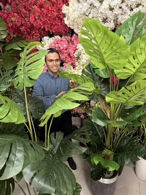 خرید درختچه برگ انجیری مصنوعی لوکس؛ شکوه جنگل‌های استوایی در فضای شما