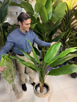 بافت لمسی و طبیعی برگ گیاه مصنوعی موز قابل شستشو