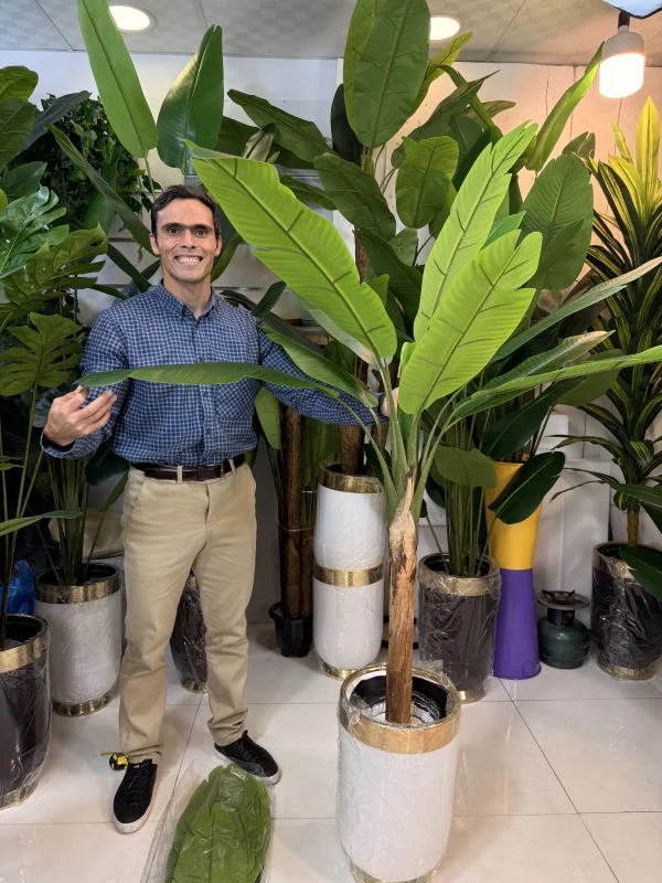 برگ پهن گیاه مصنوعی موزیک مقاوم در برابر نور خورشید