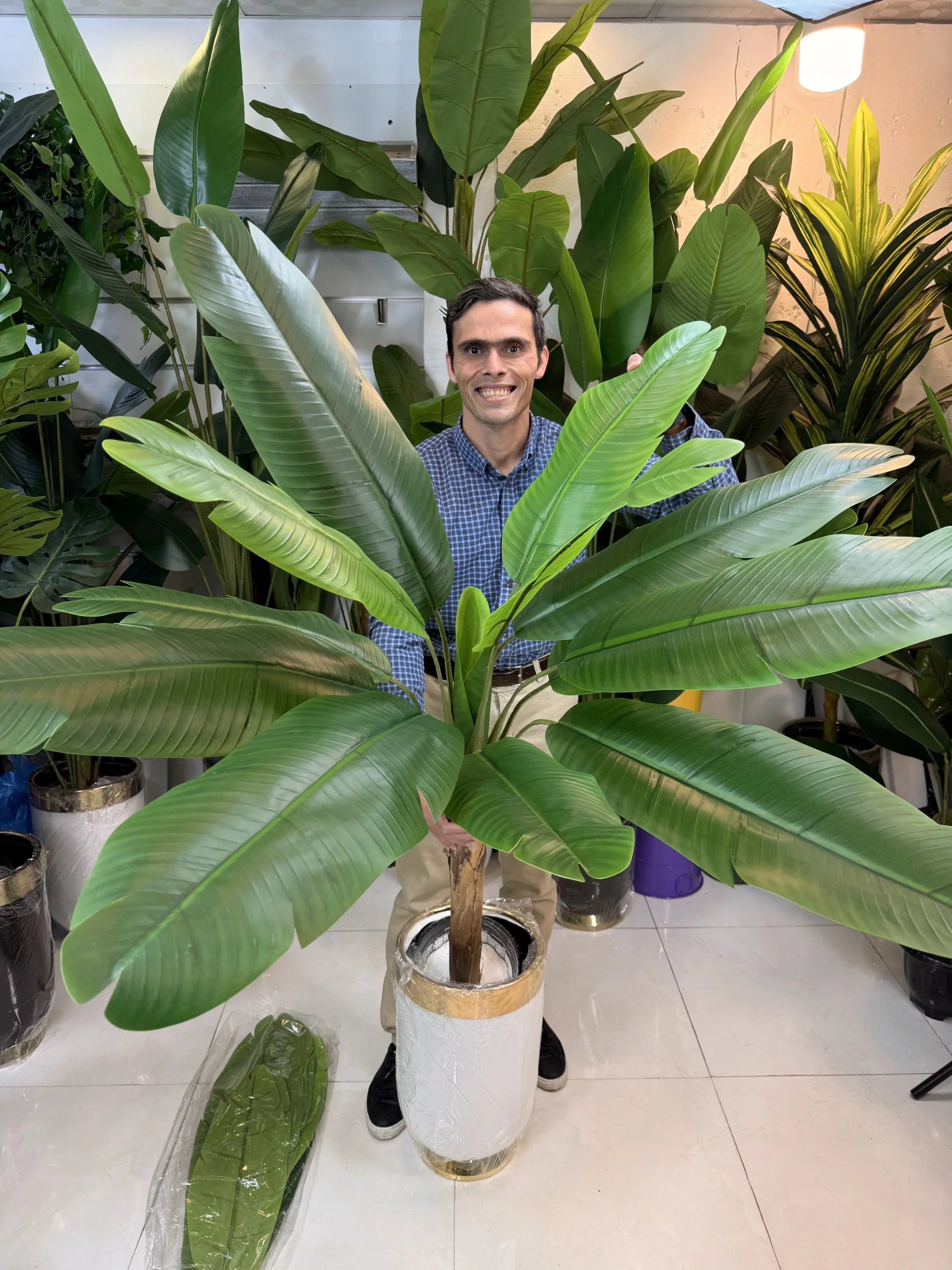 برگ پهن گیاه مصنوعی موزیک مقاوم در برابر نور خورشید