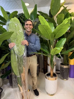 درختچه موز مصنوعی بزرگ ۲ تنه با برگ‌های پهن سبز برای دکوراسیون پذیرایی