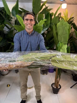 تنه پلیمری با روکش طبیعی درختچه موز مصنوعی مناسب فضای داخلی و خارجی