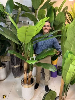 درختچه موز مصنوعی بزرگ ۲ تنه با برگ‌های پهن سبز برای دکوراسیون پذیرایی