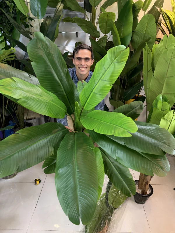 درختچه موز مصنوعی بزرگ ۲ تنه با برگ‌های پهن سبز برای دکوراسیون پذیرایی