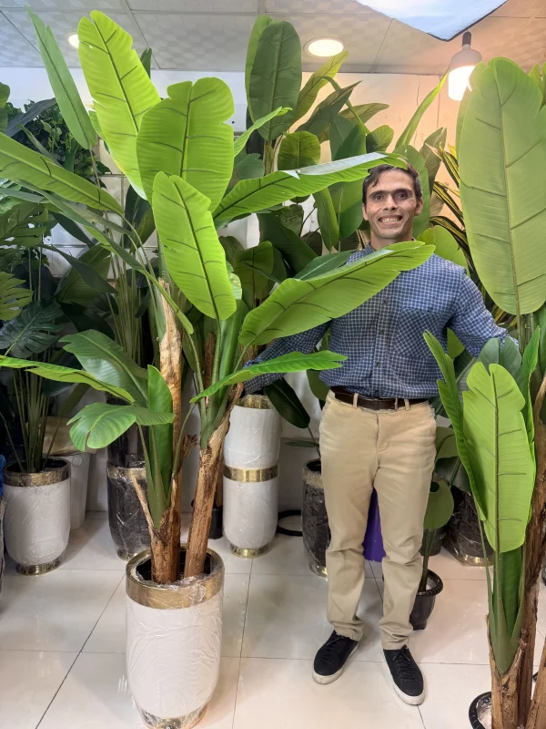 درختچه مصنوعی بلند 190 سانتیمتری مدل ۲۲ برگ لمسی