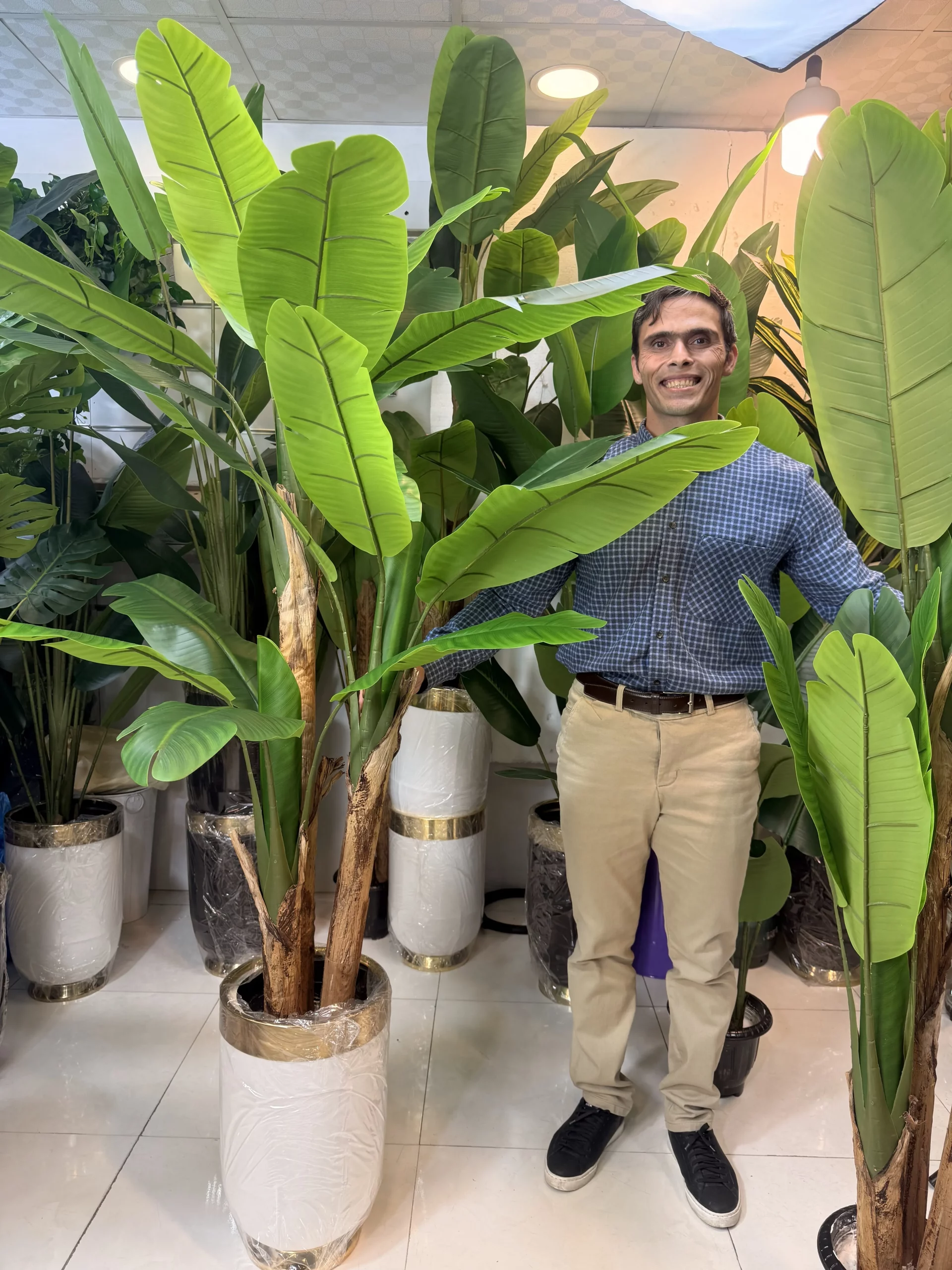 درختچه مصنوعی بلند ۲۱۰ سانتیمتری مدل ۲۲ برگ لمسی