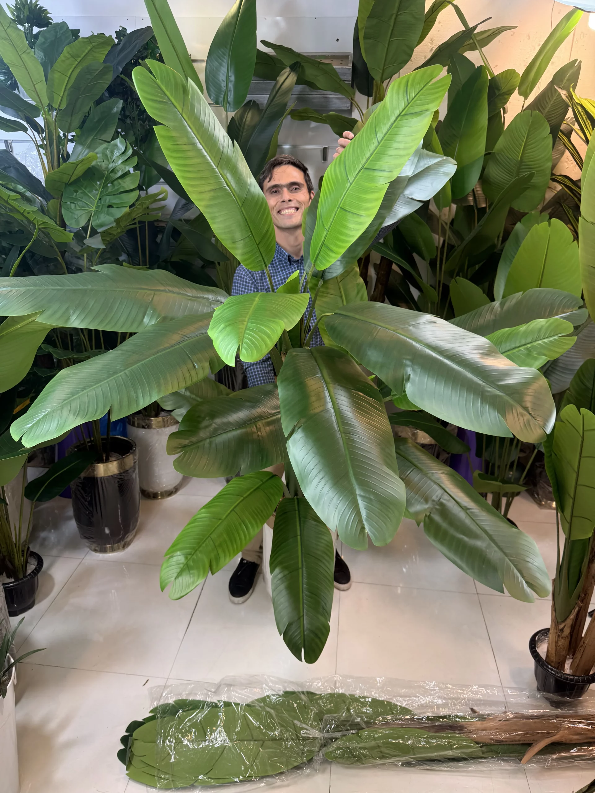 نمای نزدیک برگ درختچه مصنوعی با بافت لمسی و رنگ طبیعی