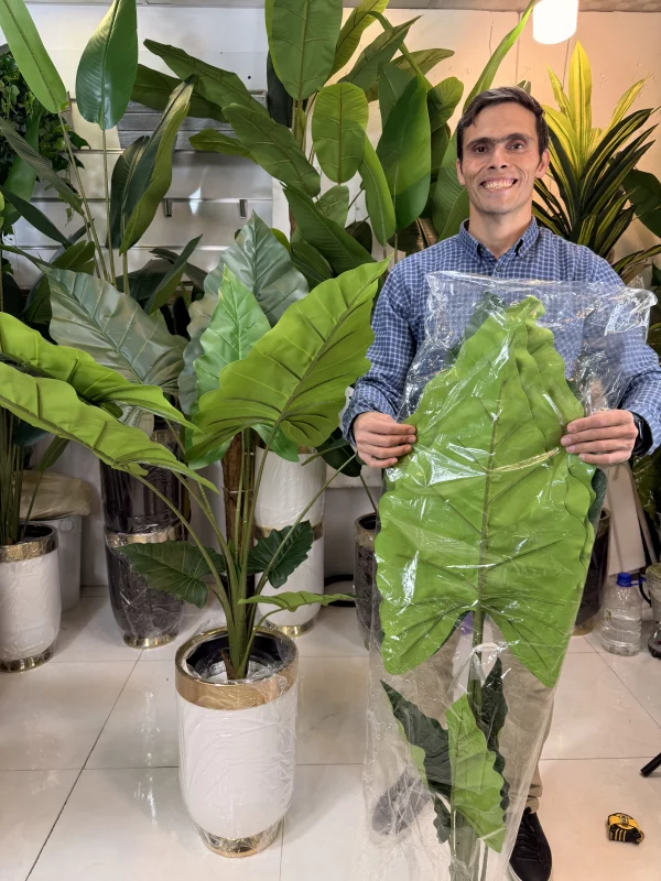 تصویر نزدیک از بافت پلیمری و رگ‌برگ‌های گیاه مصنوعی باباآدم با قابلیت Real Touch.