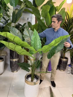 درختچه مصنوعی باباآدم ۱۰ برگ پهن با تنه طبیعی و ارتفاع ۱۴۰ سانتی‌متر برای دکوراسیون پذیرایی.