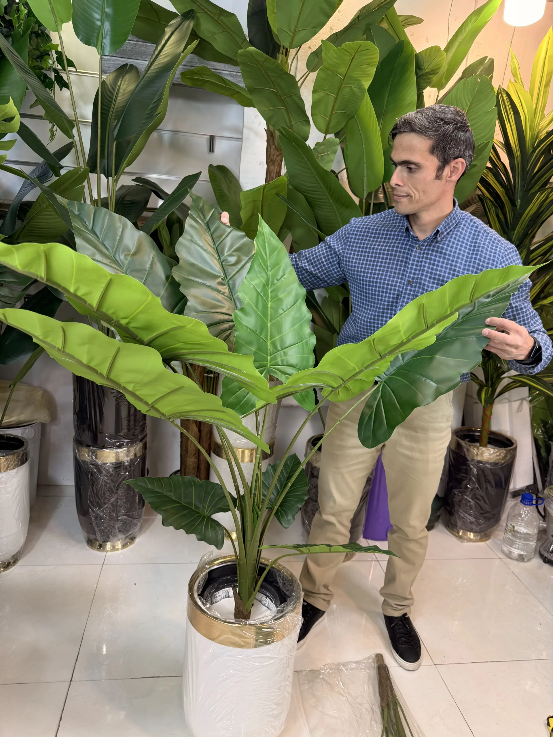 درختچه مصنوعی باباآدم ۱۰ برگ پهن با تنه طبیعی و ارتفاع ۱۴۰ سانتیمتر برای دکوراسیون پذیرایی.