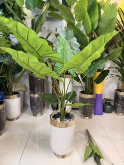 تصویر نزدیک از بافت پلیمری و رگبرگهای گیاه مصنوعی باباآدم با قابلیت Real Touch.