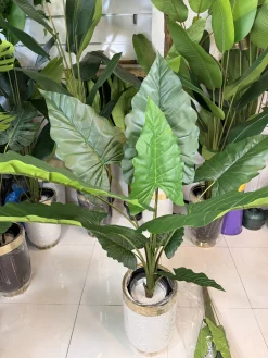 تنه مرکزی واحد با روکش طبیعی و شاخه‌های منعطف دارای سیم فلزی در گیاه مصنوعی باباآدم.