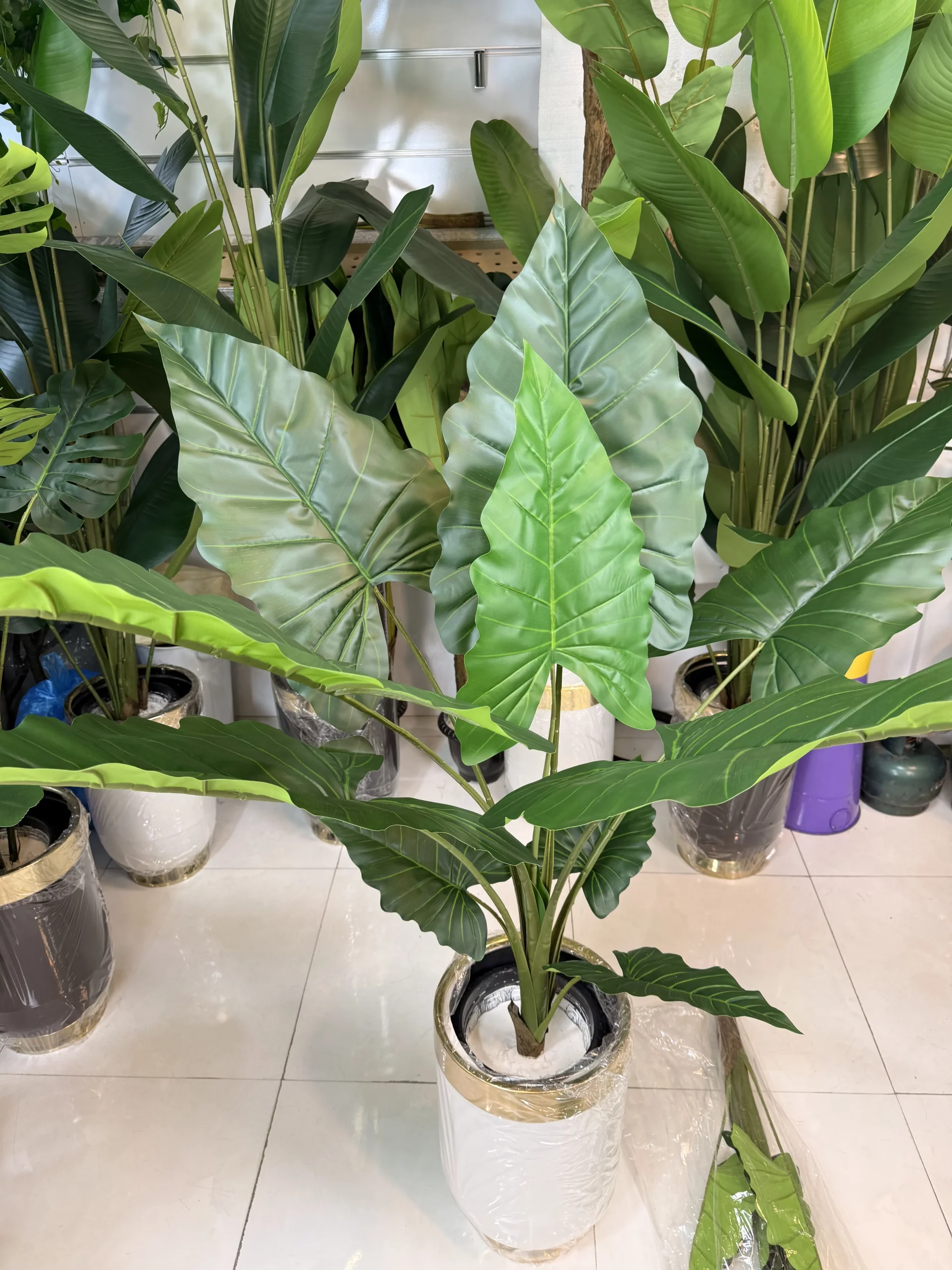 تنه مرکزی واحد با روکش طبیعی و شاخههای منعطف دارای سیم فلزی در گیاه مصنوعی باباآدم.