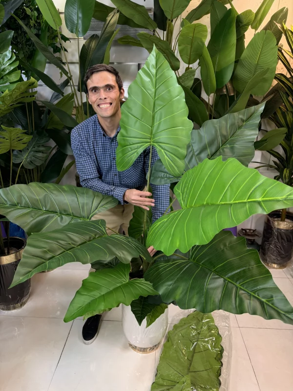 خرید گیاه مصنوعی بزرگ برای دکوراسیون منزل و محیط اداری