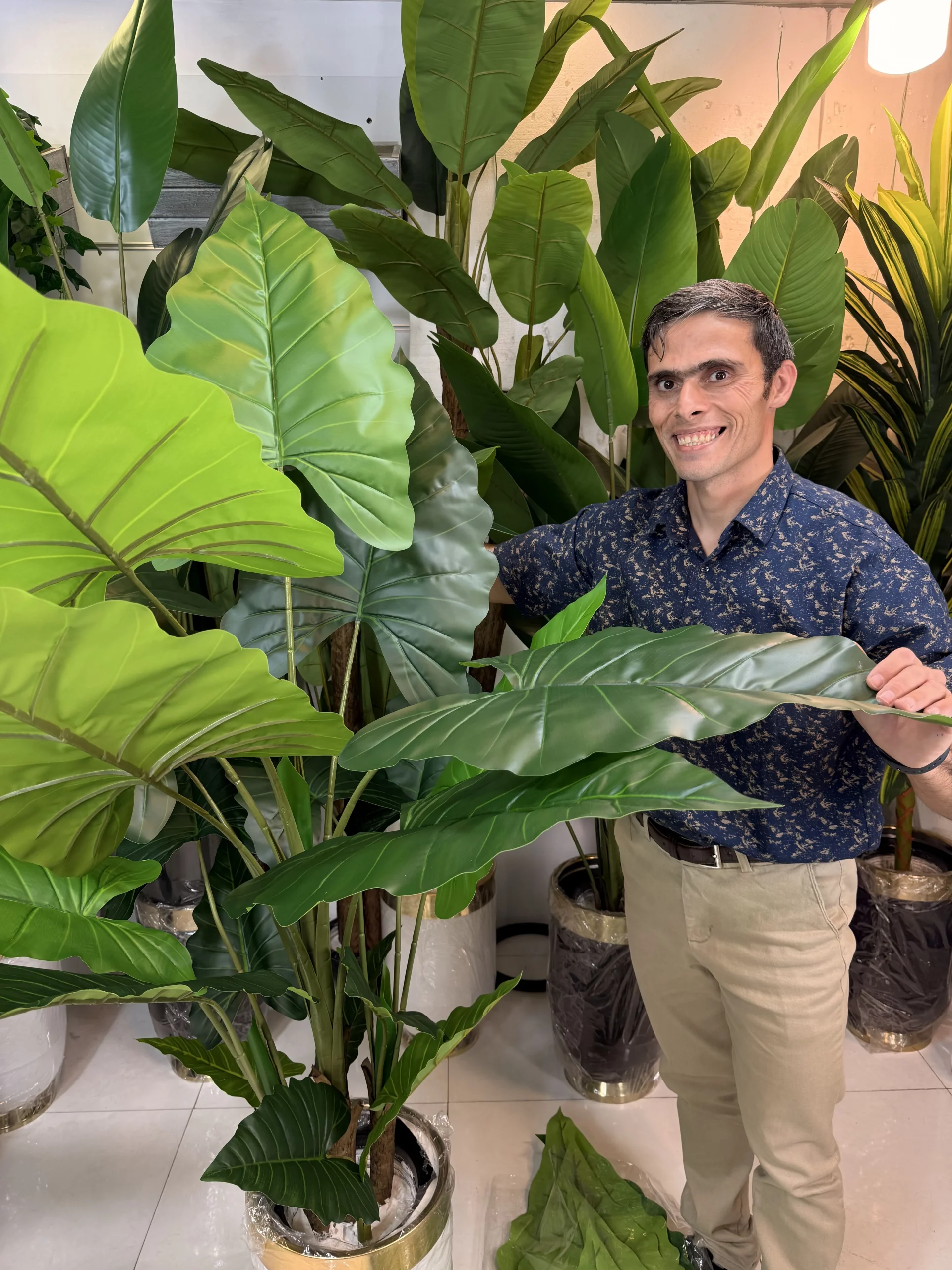 جزئیات بافت برگ پلیمری گیاه مصنوعی بابا آدم با قابلیت انعطافپذیری و سیم فلزی داخلی