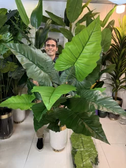 درختچه مصنوعی بابا آدم بزرگ با برگهای پهن لمسی و تنه طبیعی برای دکوراسیون پذیرایی.