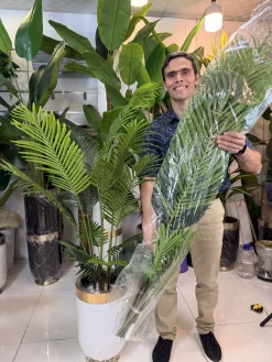 درختچه مصنوعی نخل کنتیا ۵ تنه با برگ‌های لمسی سبز طبیعی