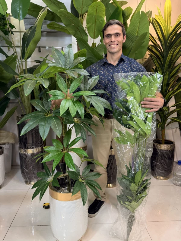 درختچه مصنوعی پاچیرا ۲ تنه لوکس ۱۴ برگ با ارتفاع ۱۵۰ سانتی‌متر