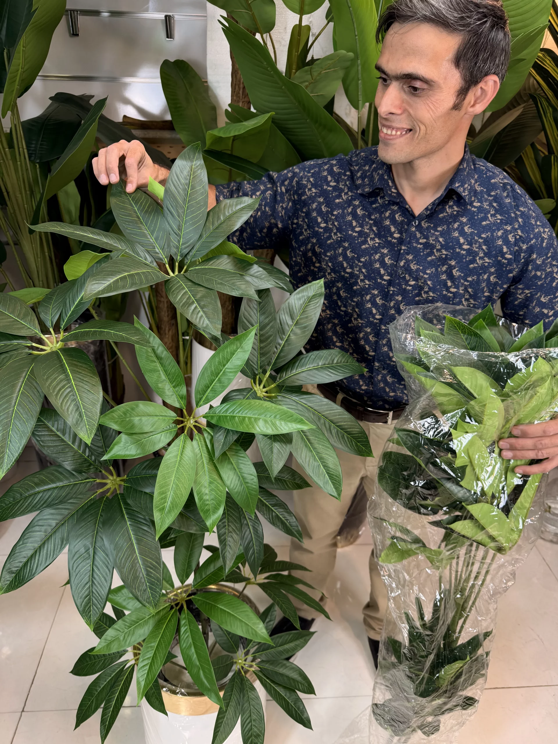 برگ لمسی گیاه مصنوعی پاچیرا با کیفیت پلیمری درجه یک و ظاهر طبیعی