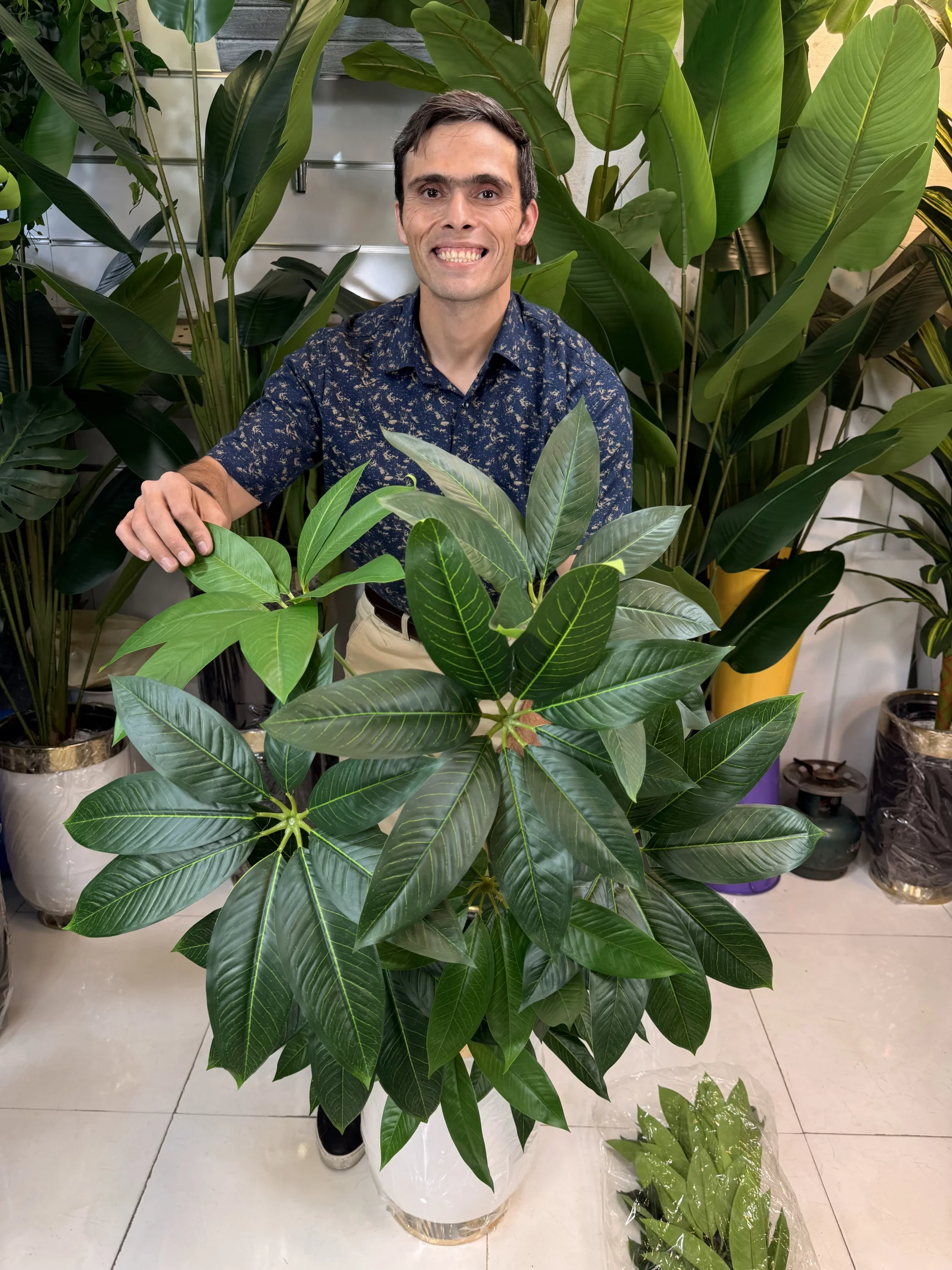 طراحی بدنه و تنه دو شاخه درختچه مصنوعی پاچیرا مدل لوکس