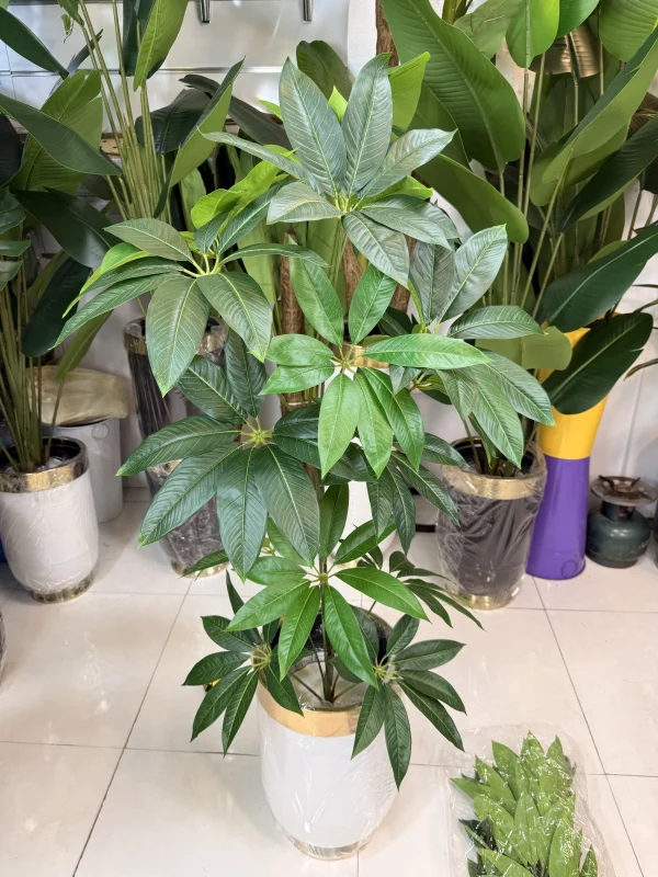 تزیین دکوراسیون مدرن با گیاه مصنوعی پاچیرا مقاوم در برابر آفتاب