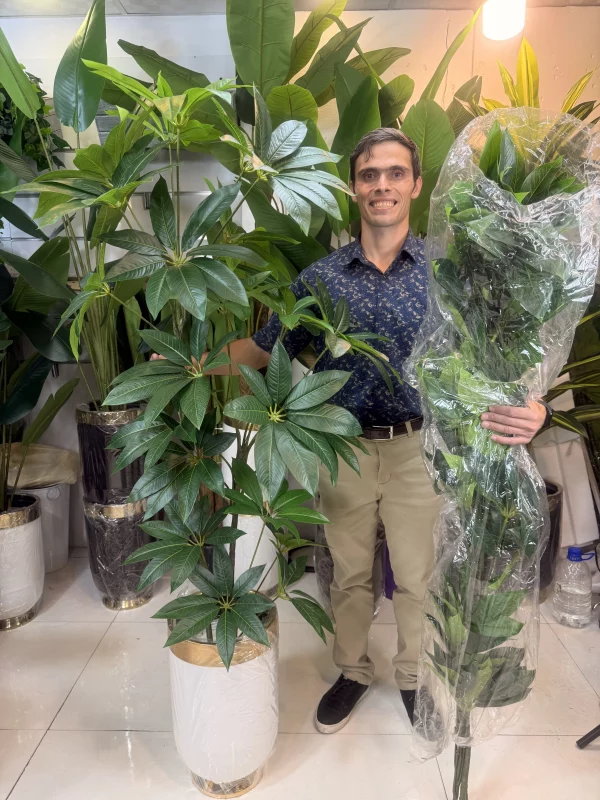 درختچه مصنوعی پاچیرا بزرگ با ۳ تنه و برگ‌های لمسی سبز