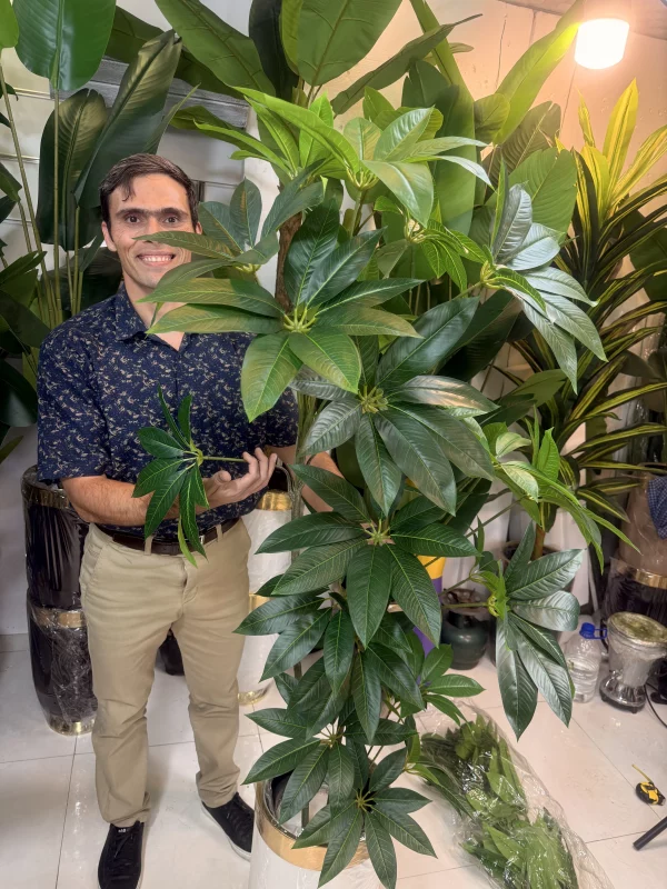 کیفیت برگ چرمی درختچه مصنوعی پاچیرا با رگ‌برگ‌های طبیعی