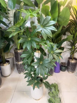 کیفیت برگ چرمی درختچه مصنوعی پاچیرا با رگ‌برگ‌های طبیعی