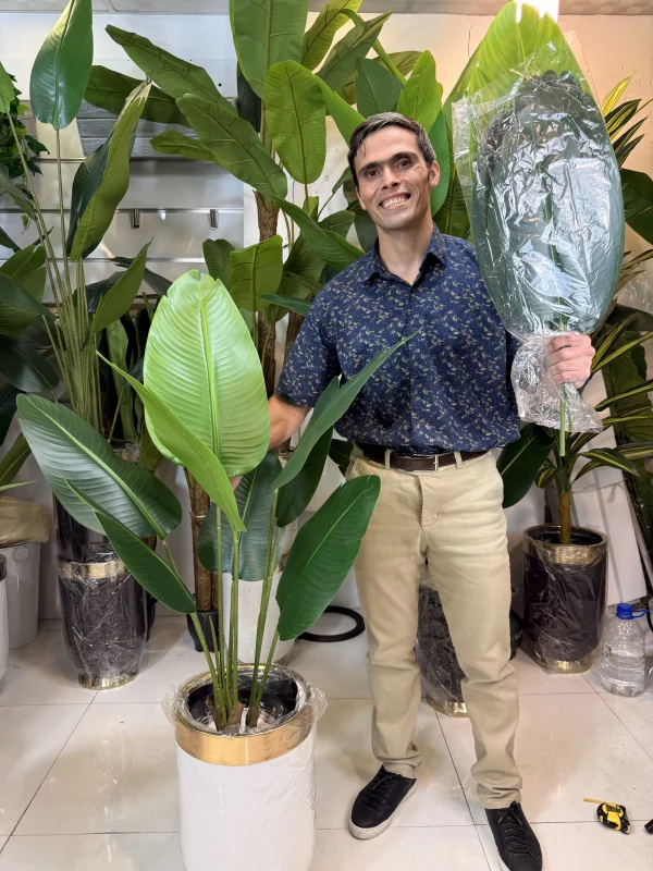 درختچه مصنوعی پرنده بهشتی بزرگ ۸ برگ با تنه طبیعی و برگ‌های سبز چرمی