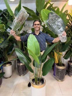 درختچه مصنوعی پرنده بهشتی بزرگ ۸ برگ با تنه طبیعی و برگ‌های سبز چرمی