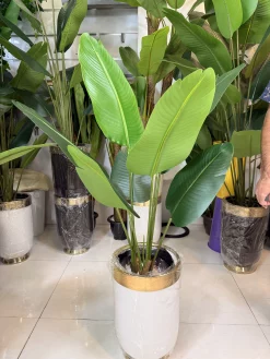 درختچه مصنوعی پرنده بهشتی بزرگ ۸ برگ با تنه طبیعی و برگ‌های سبز چرمی