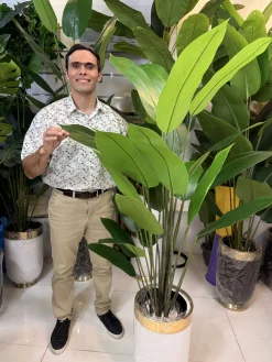 تراکم ۱۰۰ سانتی‌متری درختچه مصنوعی پرنده بهشتی درجه یک