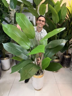 درختچه مصنوعی پرنده بهشتی بزرگ ۲۴ برگ با گلدان