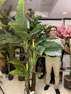 درختچه مصنوعی باباآدم بزرگ ۳ تنه با ارتفاع ۲۲۰ سانتی متر برای دکوراسیون پذیرایی و لابی