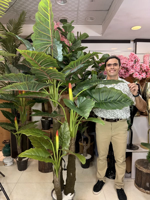 درختچه مصنوعی باباآدم بزرگ ۳ تنه با ارتفاع ۲۲۰ سانتی متر برای دکوراسیون پذیرایی و لابی