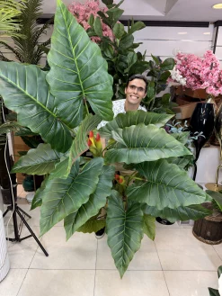 درختچه مصنوعی باباآدم بزرگ ۳ تنه با ارتفاع ۲۲۰ سانتی متر برای دکوراسیون پذیرایی و لابی