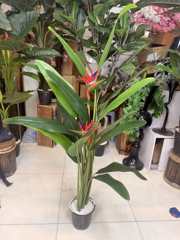 کیفیت برگ‌های پلیمری لمسی گیاه مصنوعی استرلیتزیا